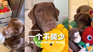 你怎么能让修勾做选择题？