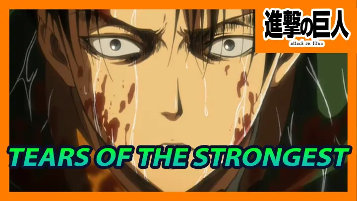 Even Humanity's Strongest Soldier Cries