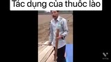 Meme hài hước#8|Tác dụng của thuốc lào