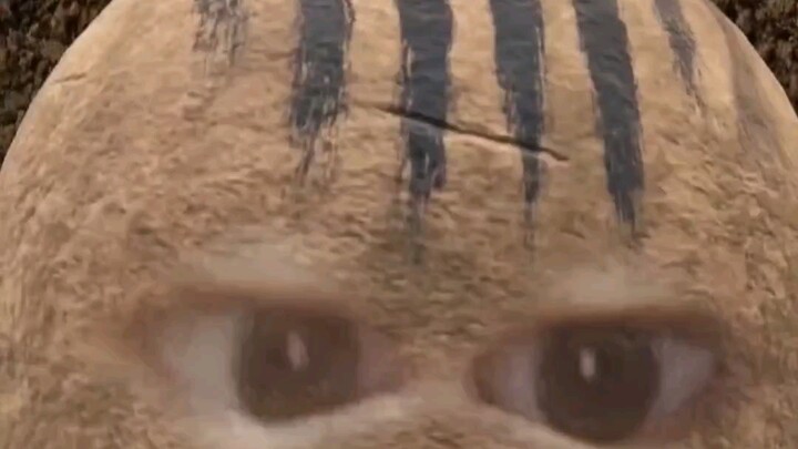 I found my boyfriend with his family…