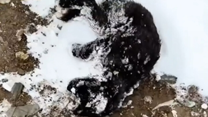 I’ve Stumbled Upon the God of Wealth!