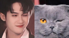 Tan Jianci: "Am I really that much like a cat?"