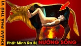 🔥 10 Câu Chuyện Lạ Lùng Và Bí Ẩn Về Những Nhà Phát Minh T.Ử NẠ.N Vì Chính Phát Minh Của Mình | KPTV