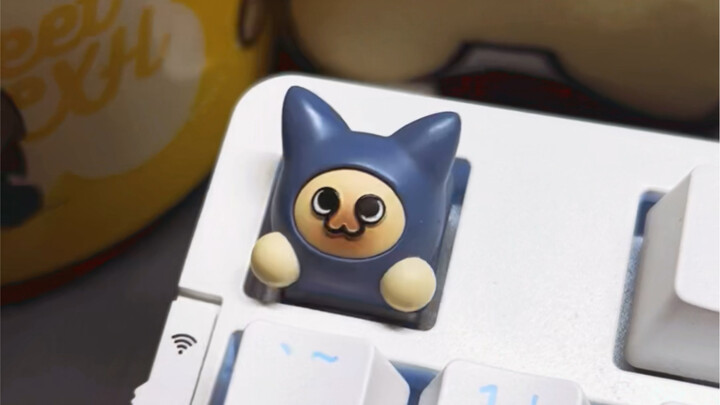 غطاء مفتاح القط الغريب الرائع يجعل سيفي الطويل يدور!