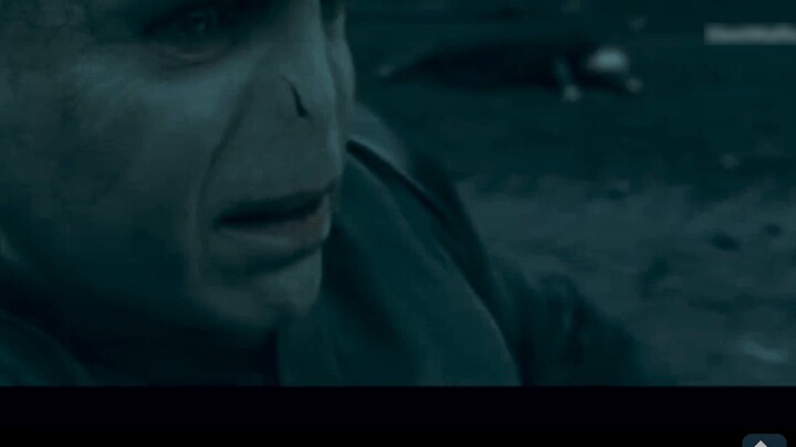 【Slytherin】We have never had the sun, so we are not afraid of losing it|Mixed cut|Darkness|Snake ele