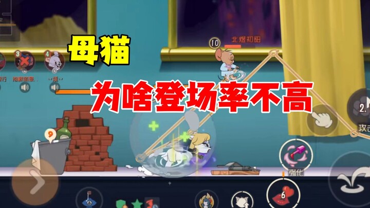 Tom and Jerry Mobile Game: Why are female cats less common?