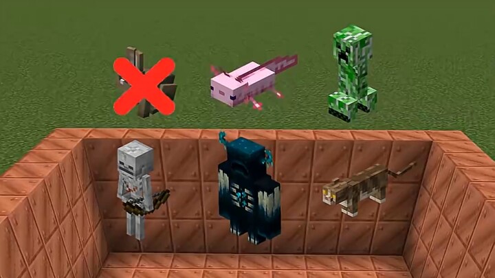 Who can pass this challenge?