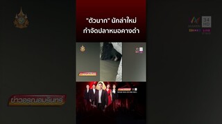 ตัวนาก นักล่าใหม่ กำจัดปลาหมอคางดำ | ข่าวอรุณอมรินทร์