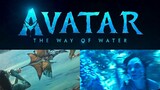 Avatar 2 Break the Record of titanic & Avengers Infinity War