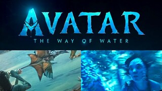 Avatar 2 Break the Record of titanic & Avengers Infinity War