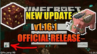 MCPE 1.16.1 - NETHER New Update Official Release