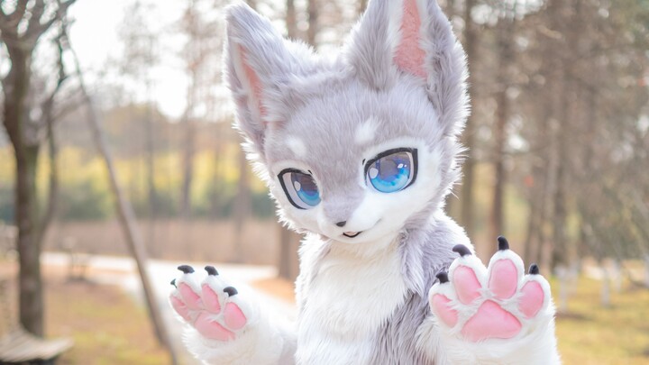 من هذا المحبوب الصغير؟ 4K