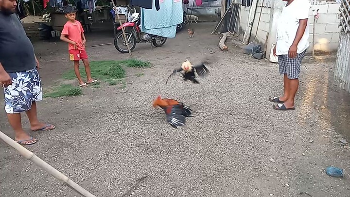 TestFlight para sa linggohan laban. stag#