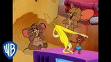 Tom & Jerry em Português 🇧🇷 | Brasil | Os 10 Melhores Momentos do Jerry 🐭 | @WBKidsBrasil​
