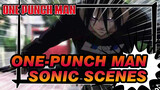 One Punch Man
Sonic AMV