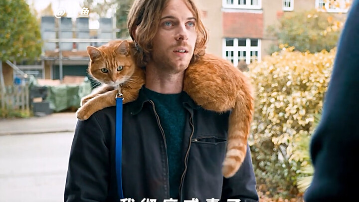 I'm a homeless person, but my cat is not a stray.