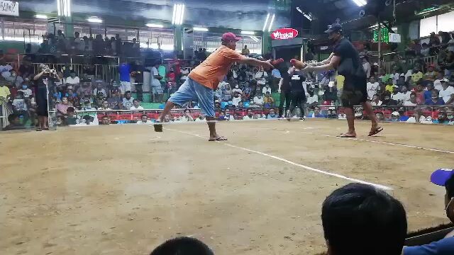 namartida pa