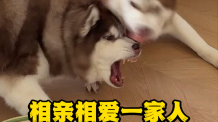 มันเป็นฝ่ายเริ่มก่อน บาดเจ็บก็เป็นมันก่อน…