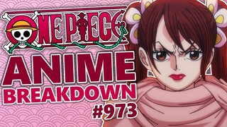 EXECUTION Day.... One Piece Episode 973 BREAKDOWN