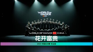 世界舞蹈大赛中国区总决赛2025 | 专业组 - 花开富贵（现场版)