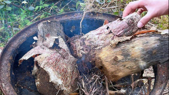 Remember these three tips and stop killing your money tree!