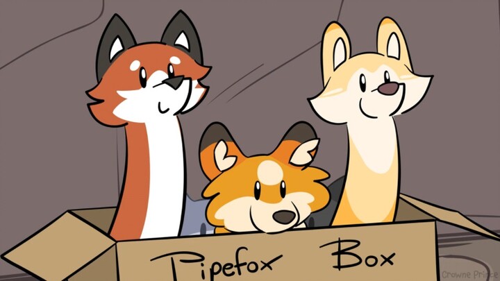 Pipefox Box