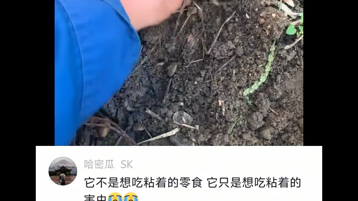 เขาไม่ได้อยากกินขนมเหนียว แต่เขาแค่อยากกินขนมเหนียวเท่านั้น