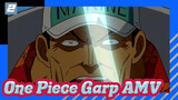 The Ridiculously Strong Old Man in One Piece-2