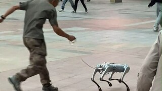 Ketika saya membeli anjing elektronik untuk kakek saya