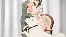 Forger Family Anime vs Realistic