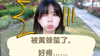 真人动物森友会！