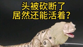 应该只有真爱粉才记得他了吧？!