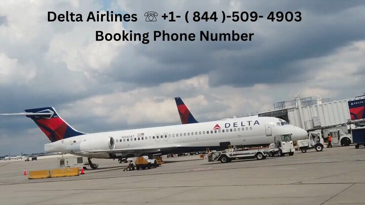 ॱ॰⋆(˶ॢ Φ‾᷄☎️‾᷅˵ॢ) Delta +1-( 844)-509-4903  炎炎炎  Booking Phone Number 炎炎炎｢Φ)