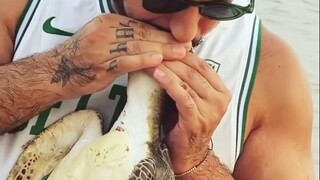 Kura-kura laut: Terima kasih, manusia.