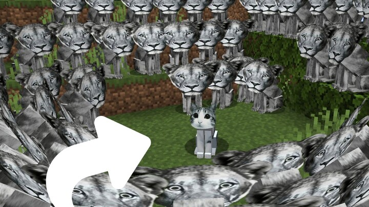 Lion’s Roar Cat joins the Minecraft server! (Player: “Safu, the lion finally wins for once! 🤓👊”)