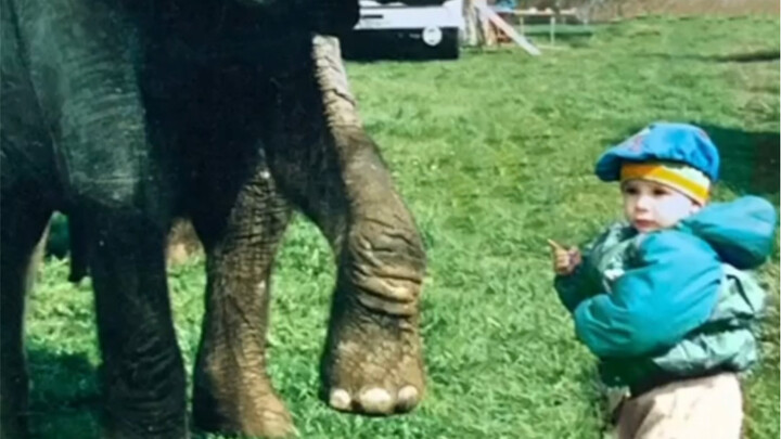 Grandpa entrusted the baby elephant to his grandson for care, but unexpectedly, now it's the young m