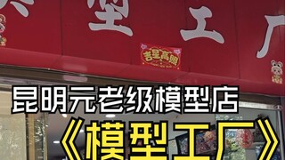 昆明元老级模型店模型工厂