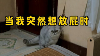 偶尔当一下狗其实也挺快乐的