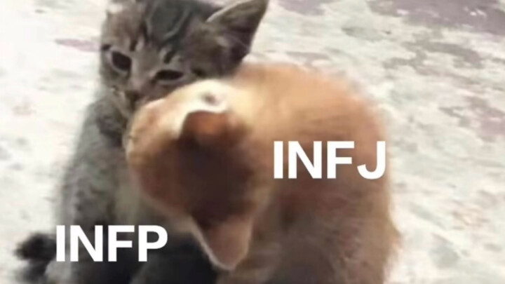 When INFPs and INFJs become friends…