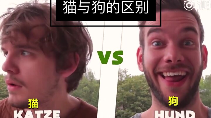 [What’s the Difference Between Raising Cats and Dogs?] A German guy acts out the personality differe