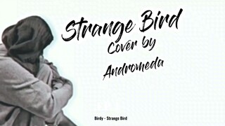 Strange Bird (Birdy) Cover by Andromeda