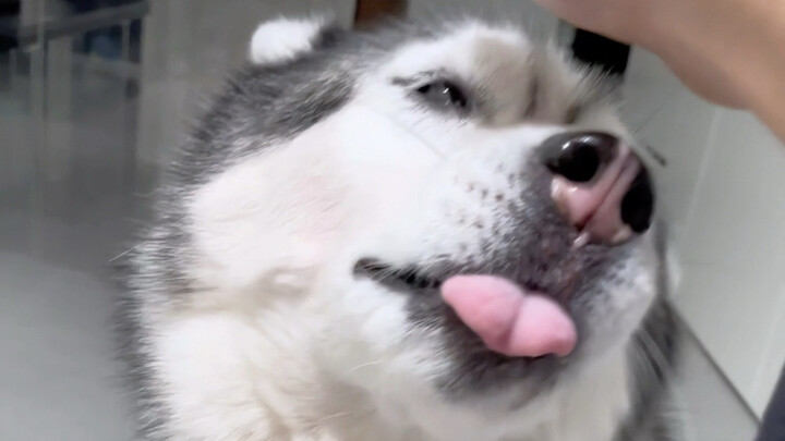 Không có kỹ thuật gì, toàn dựa vào may mắn