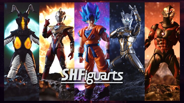 2022 SHF Toys Photo Album