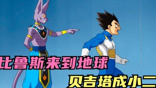 New interpretation of Dragon Ball Super: Beerus comes to Earth to fight for food, and Vegeta gives u