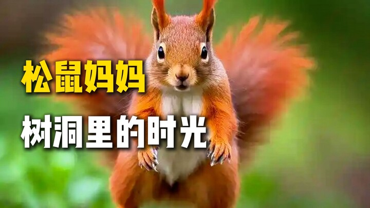 ชีวิตของแม่คือการอำลาที่ถูกเตรียมไว้อย่างพิถีพิถัน