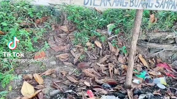 not sampah