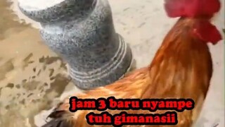 PUSING KERJAAN__ KETAWAIN AJA