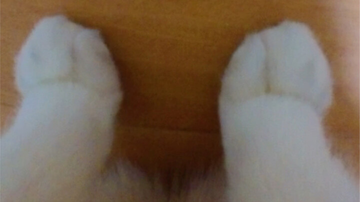 Ternyata sudut pandangnya adalah tentang...kakiku.