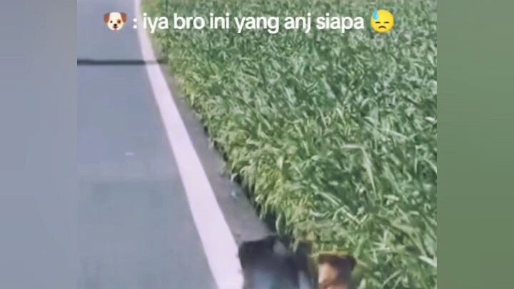 anj emg hahaha
