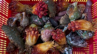 street food asmr food fish cutting korean food asian seafood korea sashimi making video 291022 3